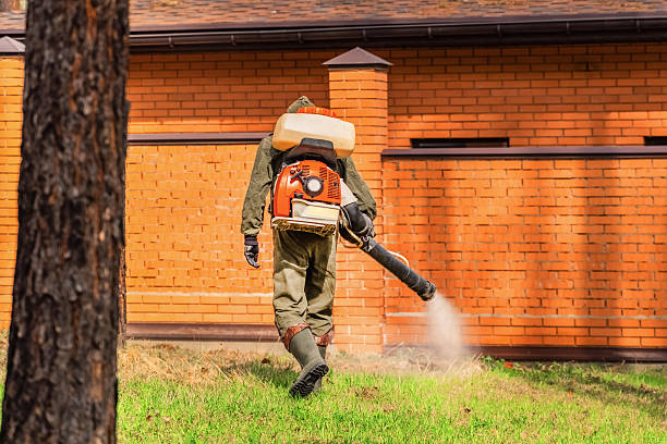 Trusted Cockroach Control service in Ragland, AL - Nex Pest Control